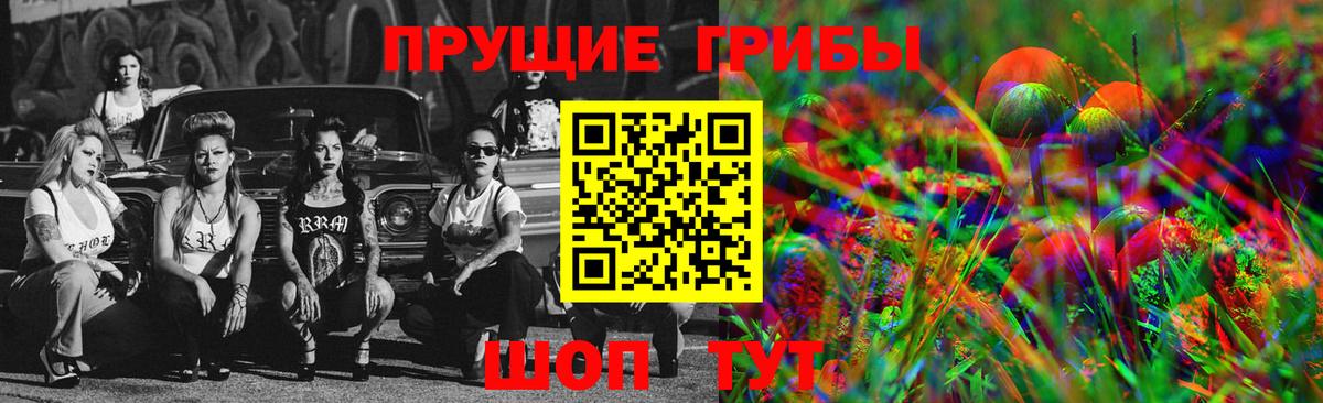 Галлюциногенные грибы GOLDEN TEACHER Россия